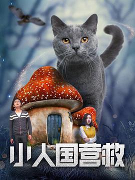 国产一区视频在线看