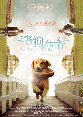 ok天堂电影