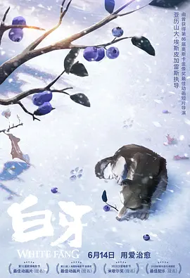 夜色福利网