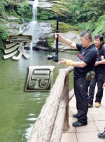成年人视频免费在线播放