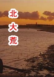 毛片在线视频