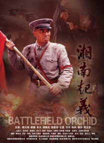 国产精品视频免费看